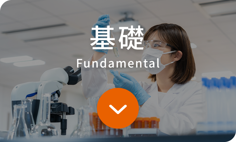 基礎 Fundamental