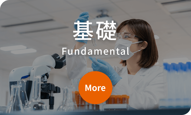 基礎 Fundamental
