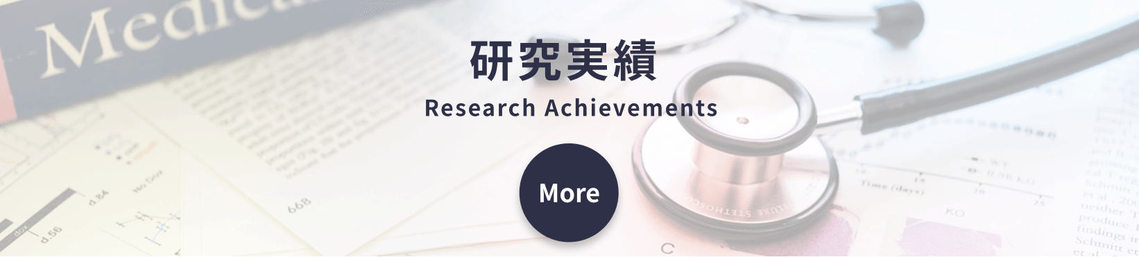 研究実績 Research Achievements